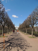 DSCN0181.JPG